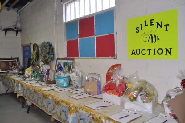 Silent auction table displays gift baskets, framed items, and bid sheets beneath a bright sign during Danville Project Literacy’s JeopardBee event.